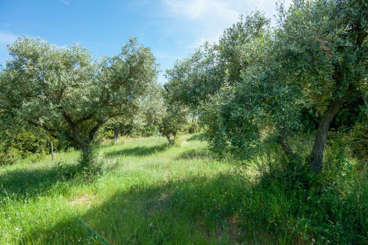 Avaton Farm Villa Ouranoupoli Dış mekan fotoğraf