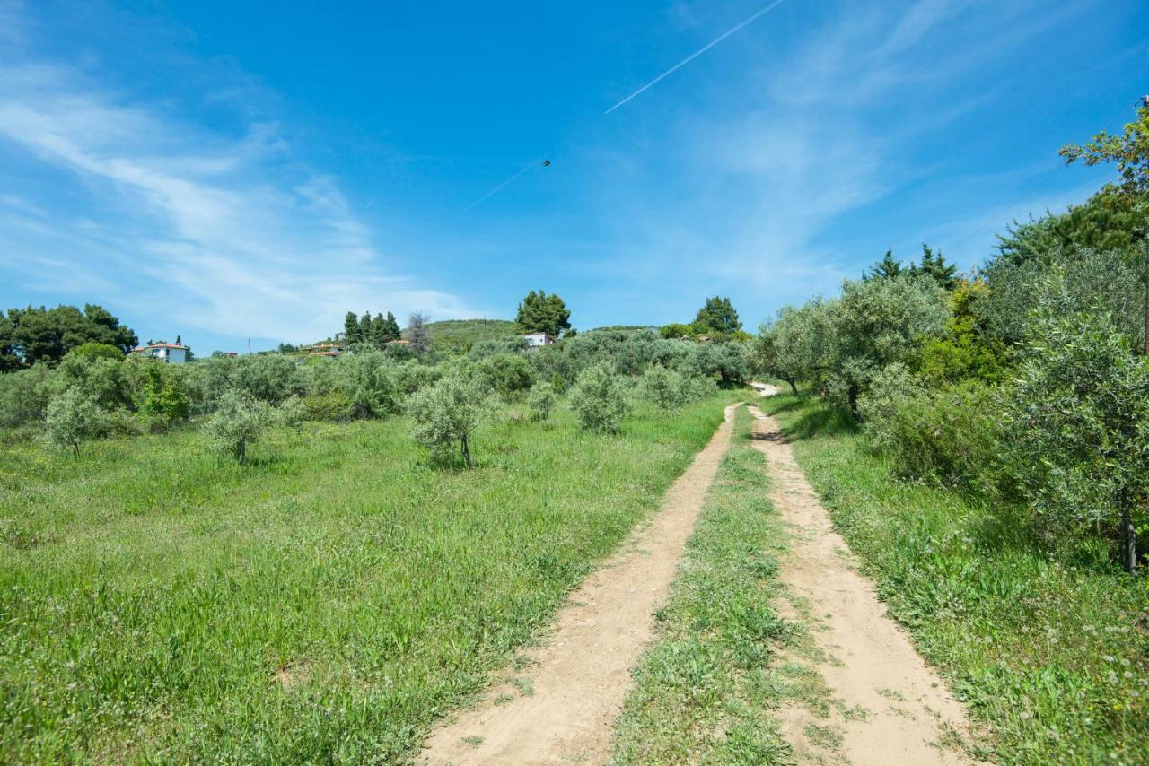 Avaton Farm Villa Ouranoupoli Dış mekan fotoğraf